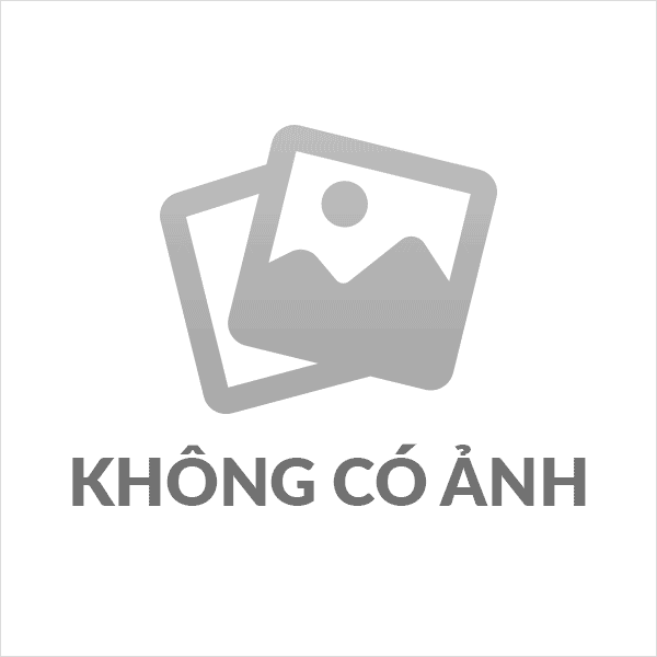Phó Hiệu trưởng Dương Thị Hồng Yến