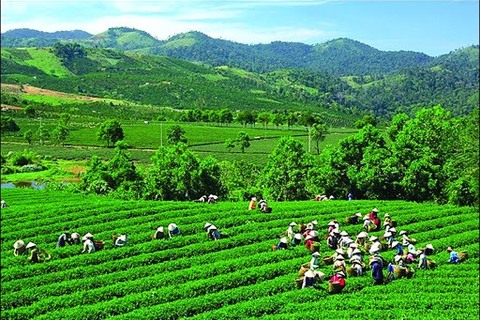 Tái cơ cấu công nghiệp, J888 tải app về điện vùng Trung du miền núi phía Bắc: Khai thác và phát huy có hiệu quả mọi nguồn lực nhằm phát triển nhanh, bền vững